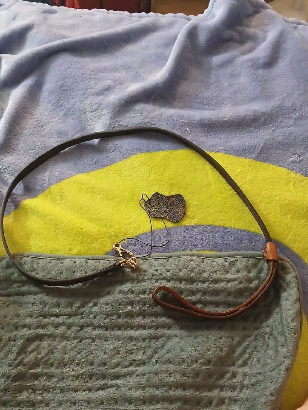 Louis Vuitton Dog Leash